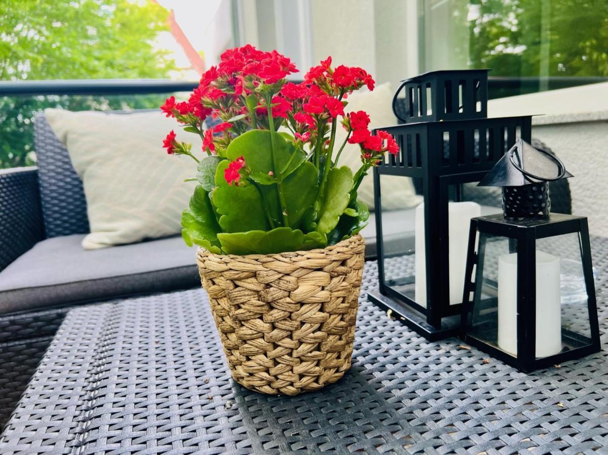 Ferienwohnung An Der Stadtmauer Und Turmblick Lugde Ngoại thất bức ảnh